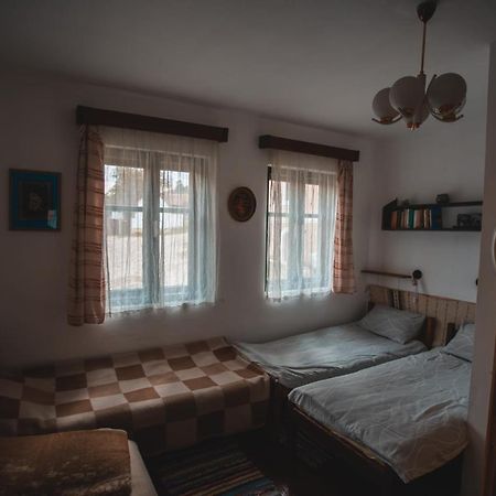 Sziklakert - Életöröm Vendégház Rimetea Extérieur photo