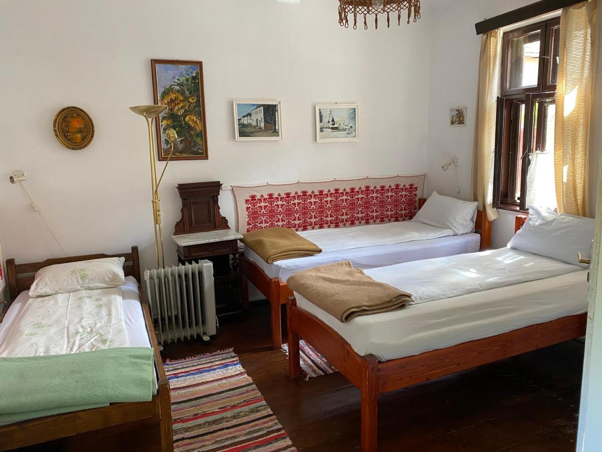 Sziklakert - Életöröm Vendégház Rimetea Extérieur photo