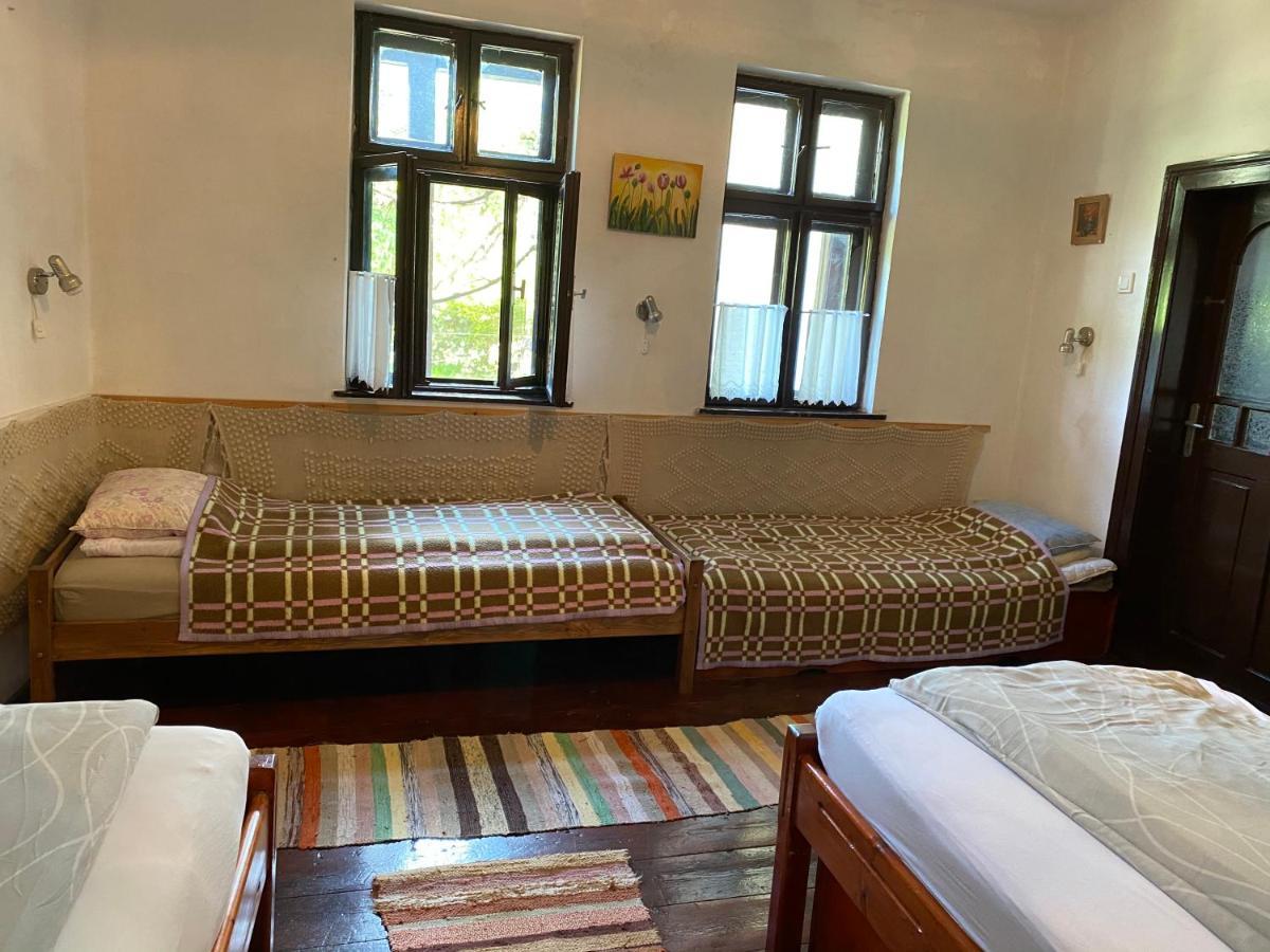 Sziklakert - Életöröm Vendégház Rimetea Extérieur photo