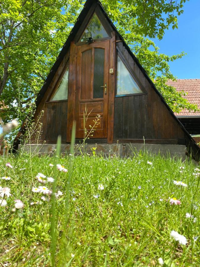 Sziklakert - Életöröm Vendégház Rimetea Extérieur photo