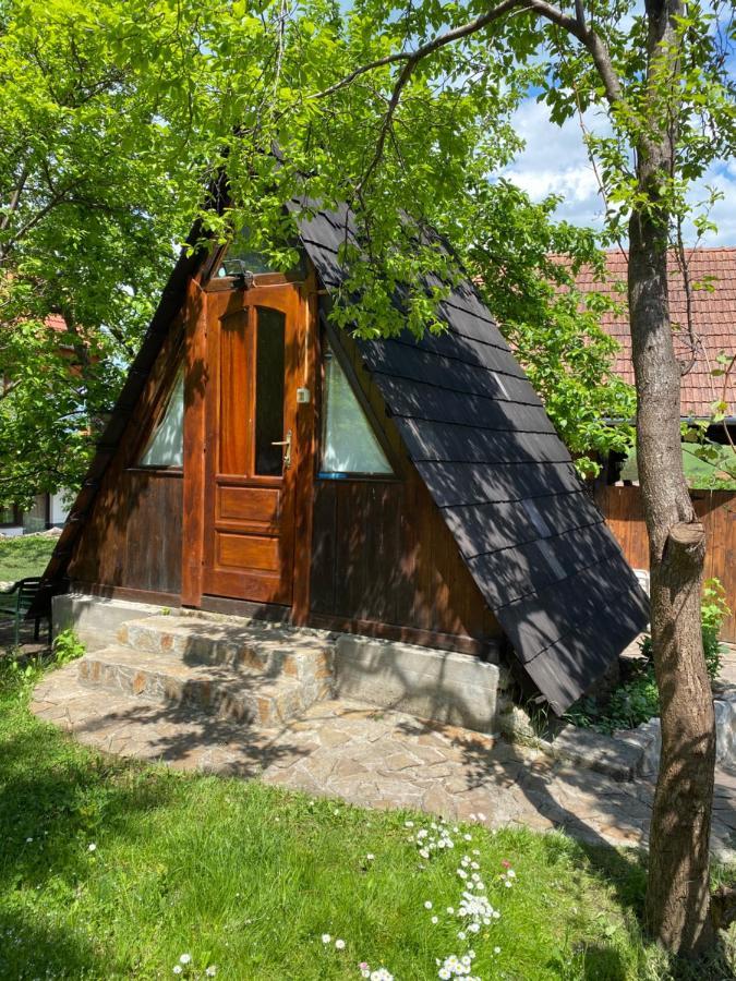 Sziklakert - Életöröm Vendégház Rimetea Extérieur photo